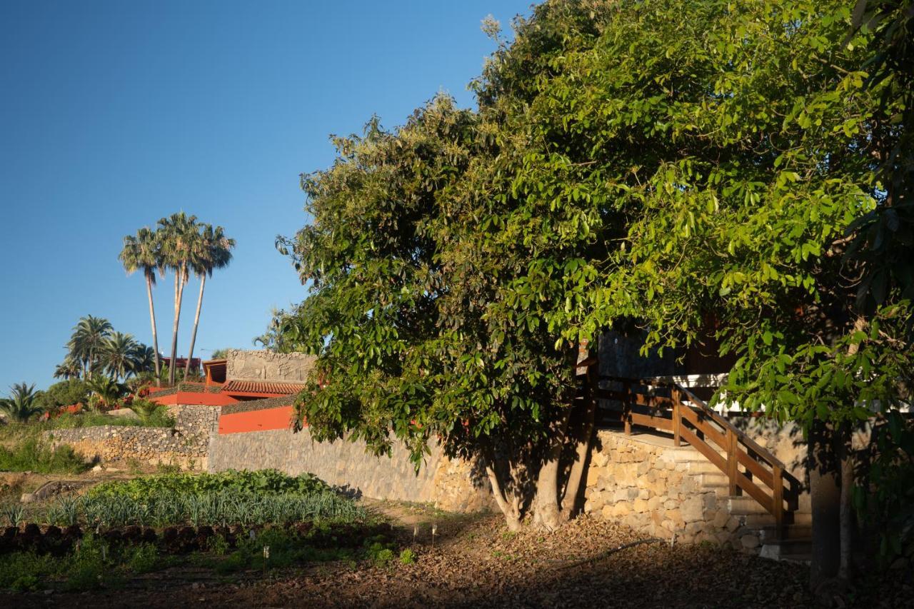 Finca Pico Los Realejos Exteriér fotografie