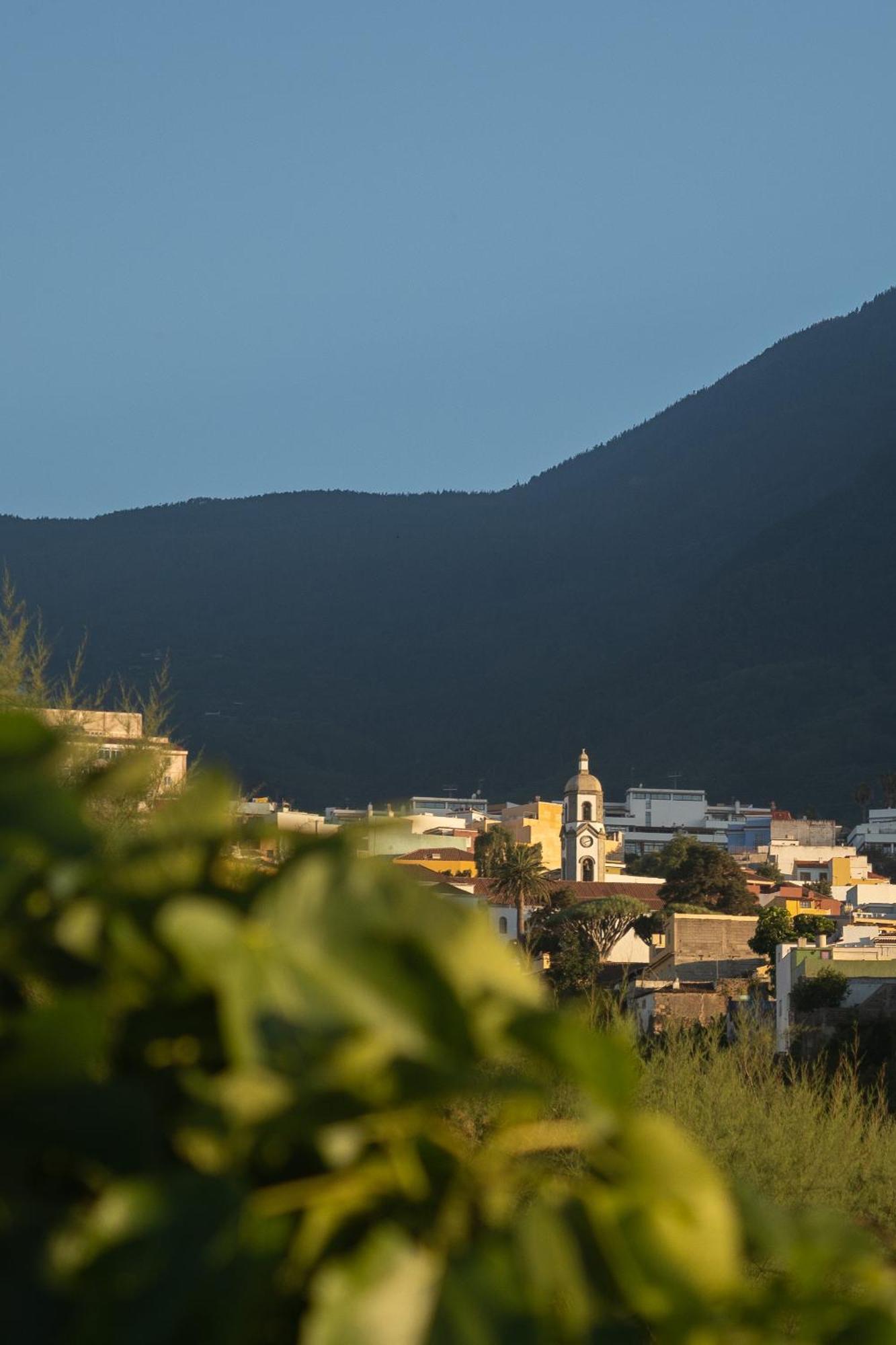 Finca Pico Los Realejos Exteriér fotografie
